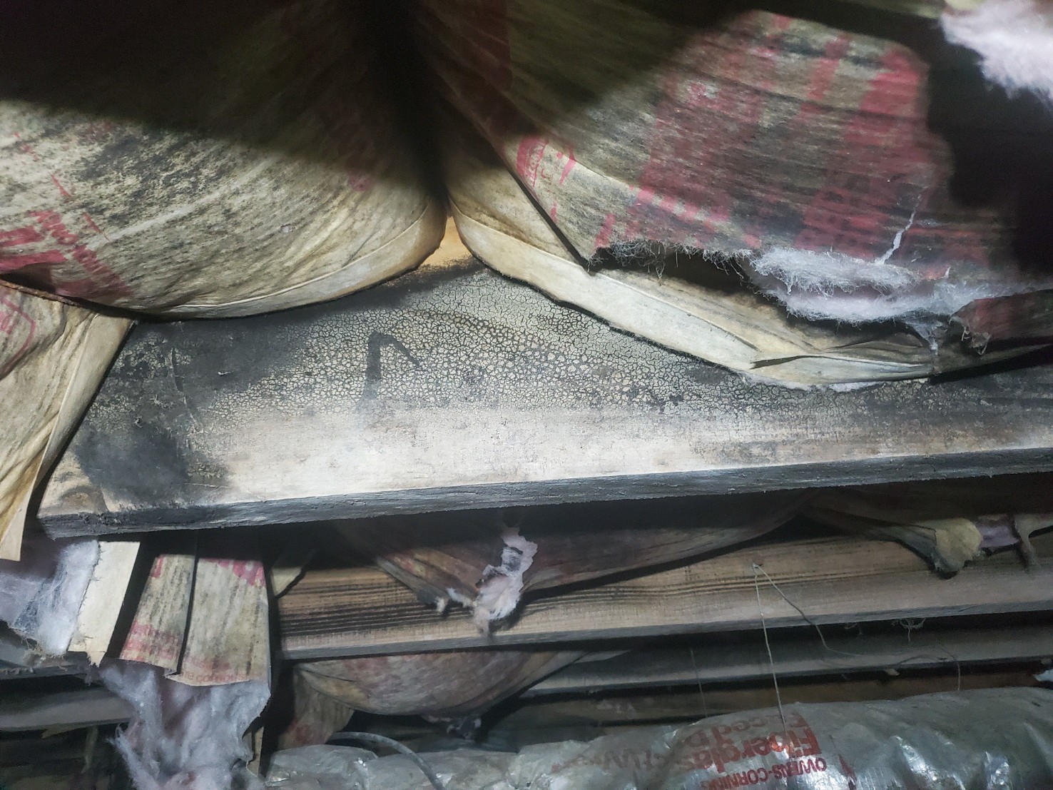 Exposed insulation and wooden beams in a ceiling with visible black mold or mildew growth on the wood, indicating the need for professional mold and mildew remediation.